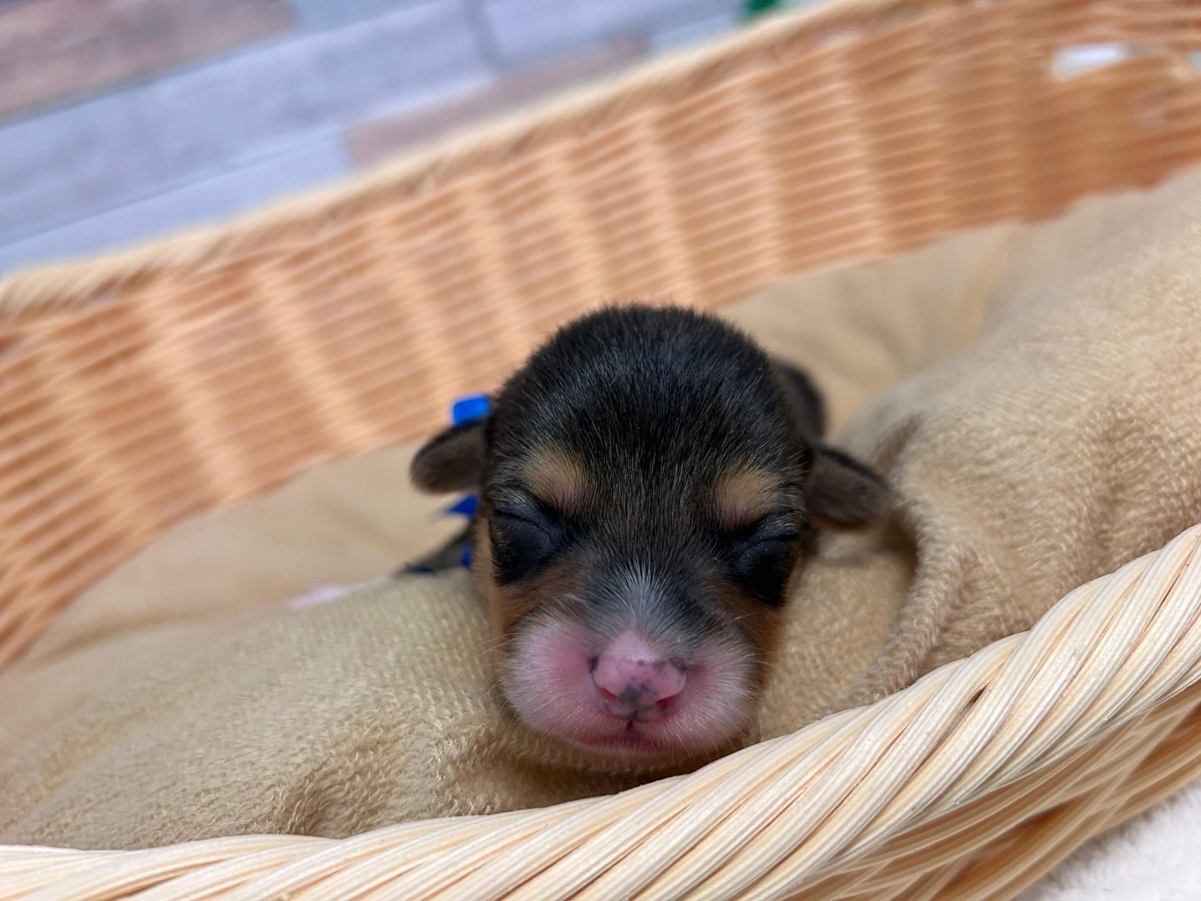 赤ちゃん写真1-1