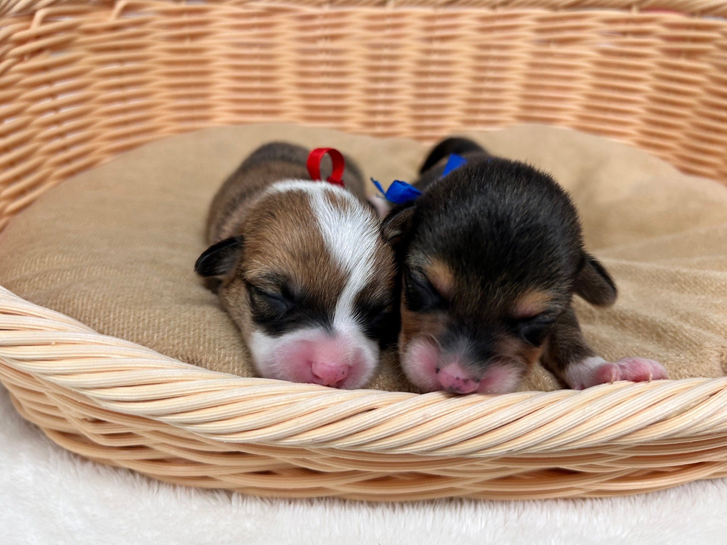 赤ちゃん写真1-3