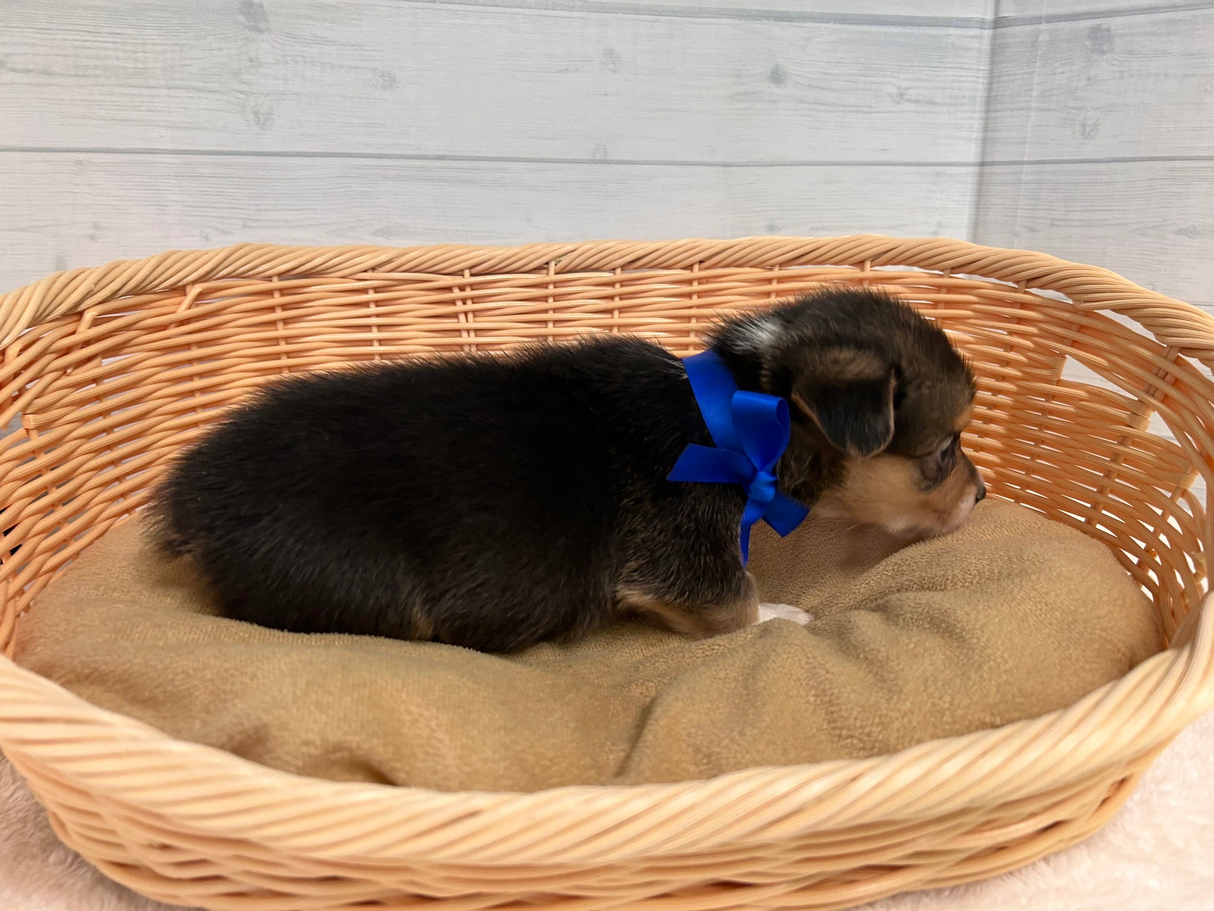 赤ちゃん写真2-2