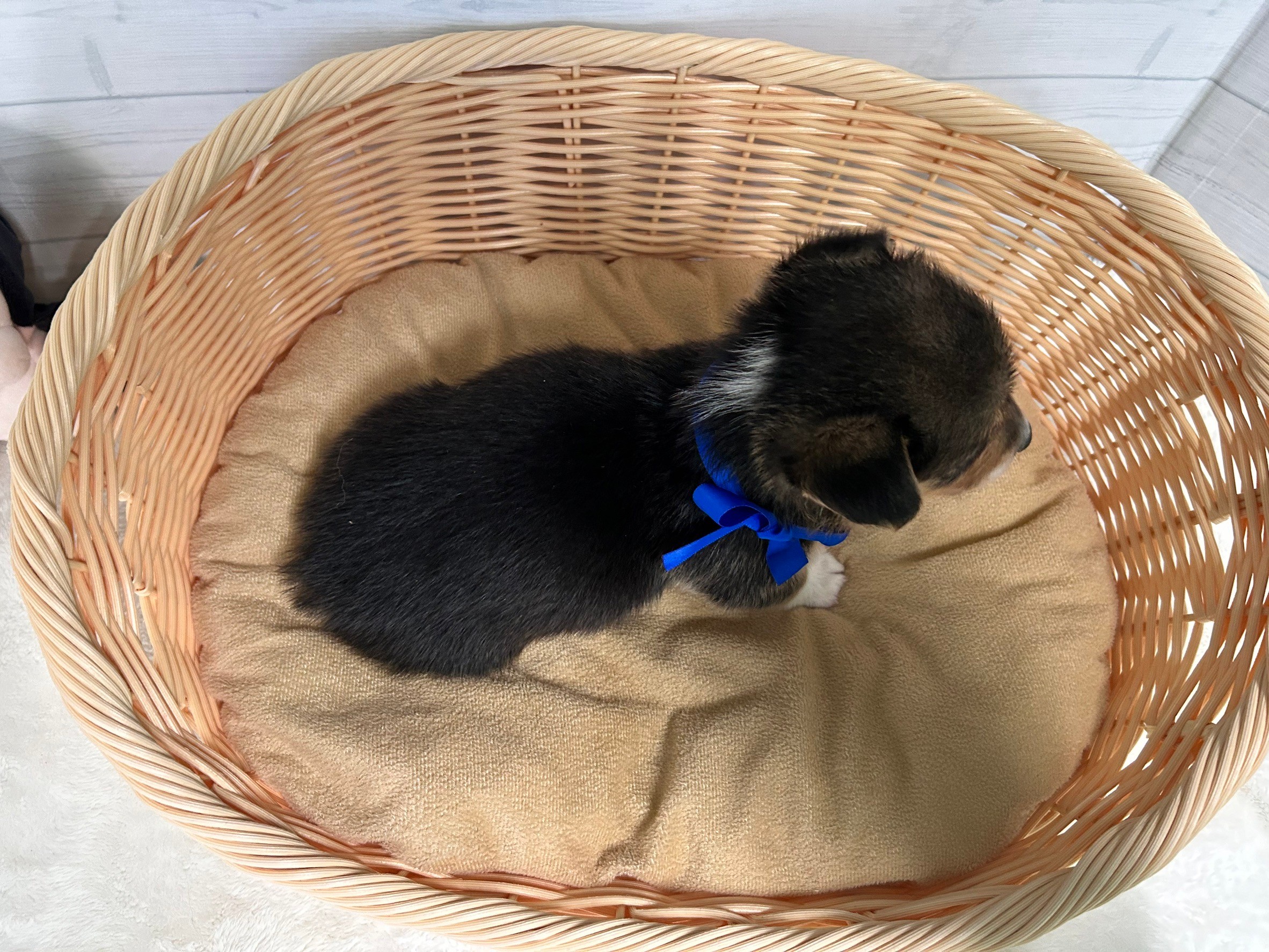 赤ちゃん写真2-3