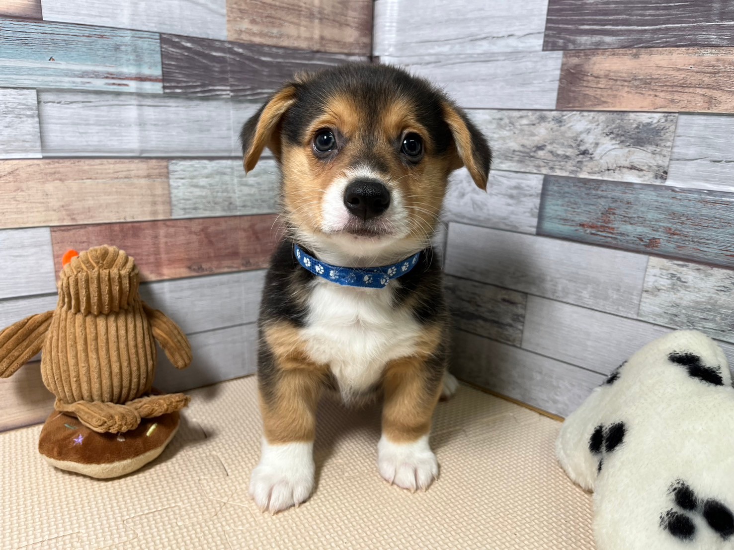 赤ちゃん写真3-1