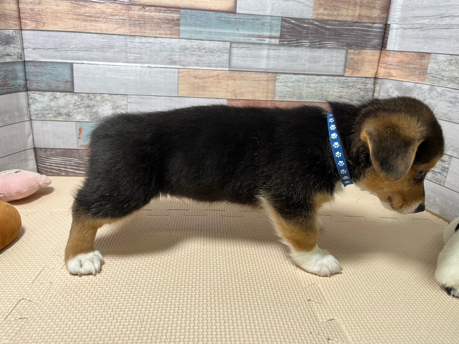 赤ちゃん写真3-2