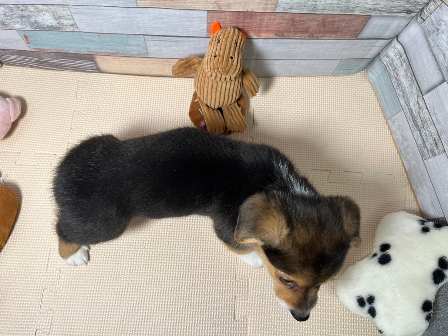 赤ちゃん写真3-3