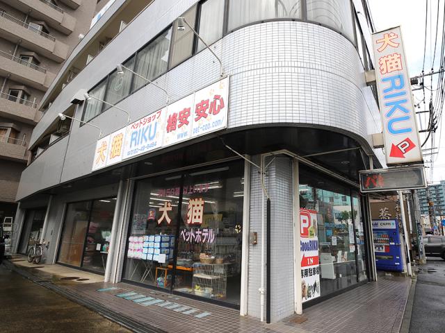 海老名のペットショップ7選 ららぽーと内の大型店や熱帯魚の専門店も Shiori