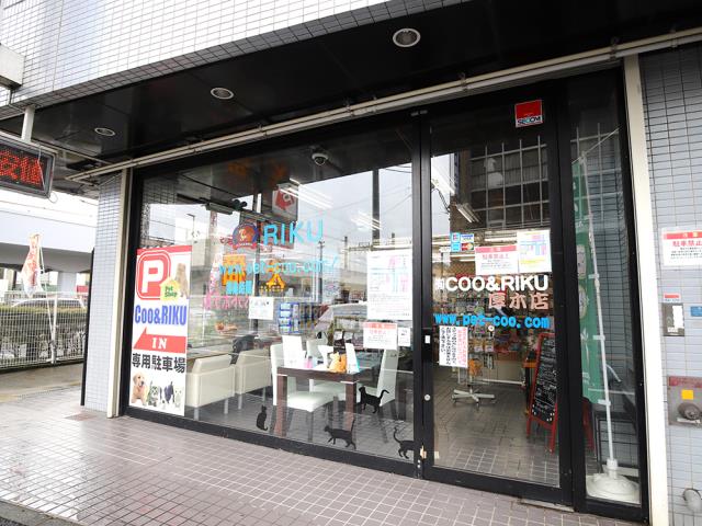 厚木店のご案内 厚木市厚木町 ペットショップcoo Riku