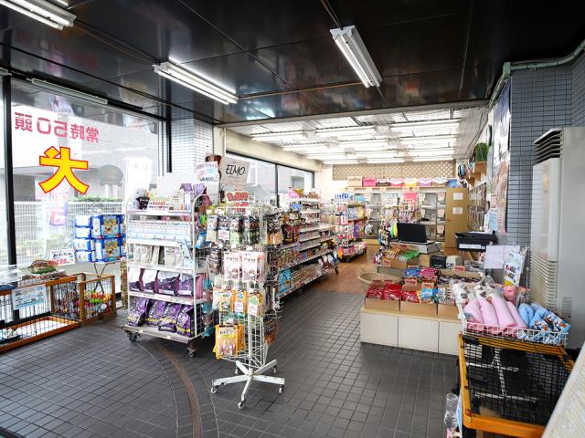 厚木店のご案内 厚木市厚木町 ペットショップcoo Riku