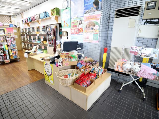 厚木店のご案内 厚木市厚木町 ペットショップcoo Riku