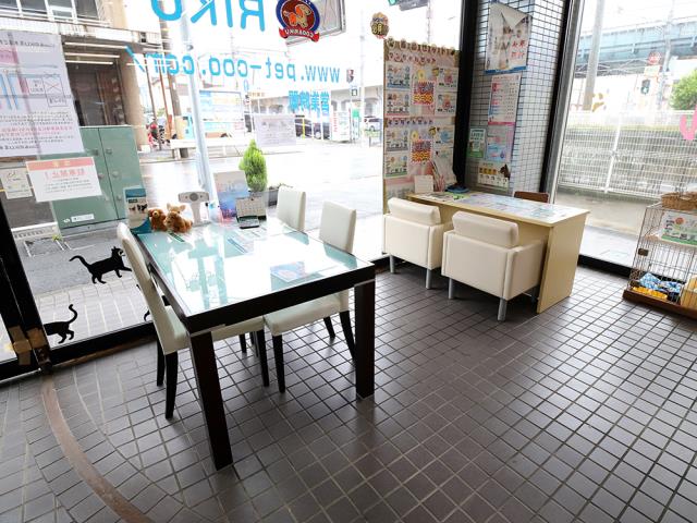 厚木店のご案内 厚木市厚木町 ペットショップcoo Riku
