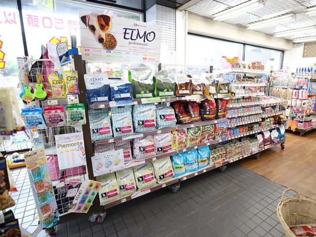 厚木店のご案内 厚木市厚木町 ペットショップcoo Riku