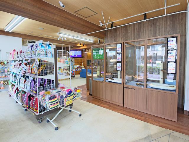 豊島店のご案内 豊島区南長崎 ペットショップcoo Riku