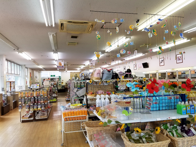 ショップ coo&riku ペット ペットショップCoo&RIKU京都店（京都市右京区西院巽町）｜エキテン