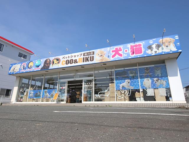 Coo&RIKU掛川店の店舗写真