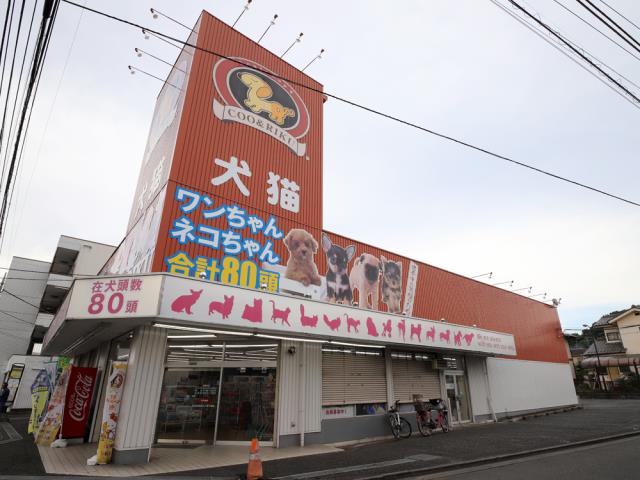 八王子西店のご案内 八王子市西寺方町 ペットショップcoo Riku