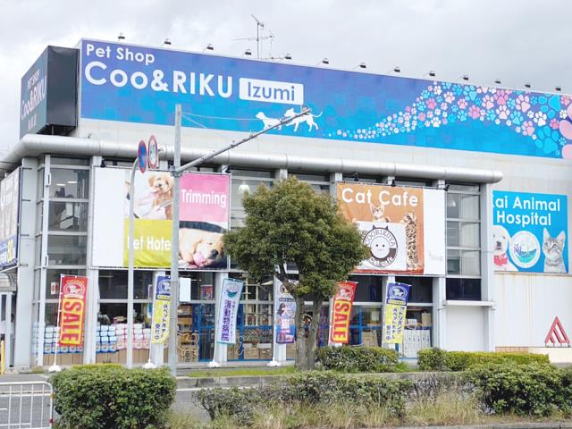 Coo&RIKU和泉店の店舗写真