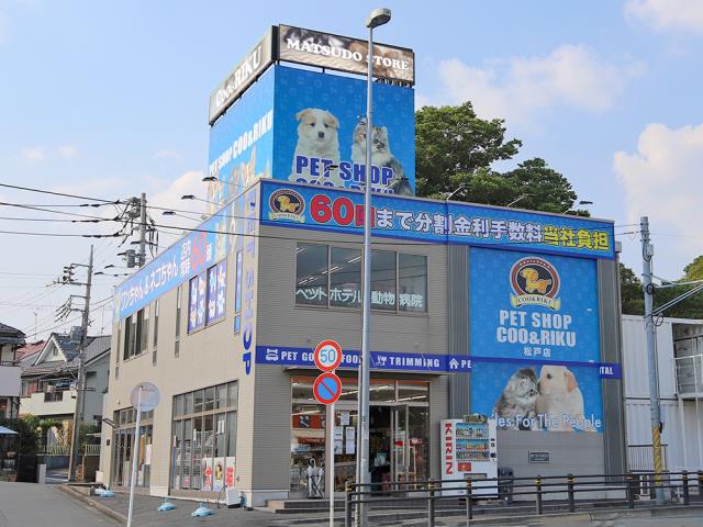 松戸店のご案内 松戸市二ツ木 ペットショップcoo Riku