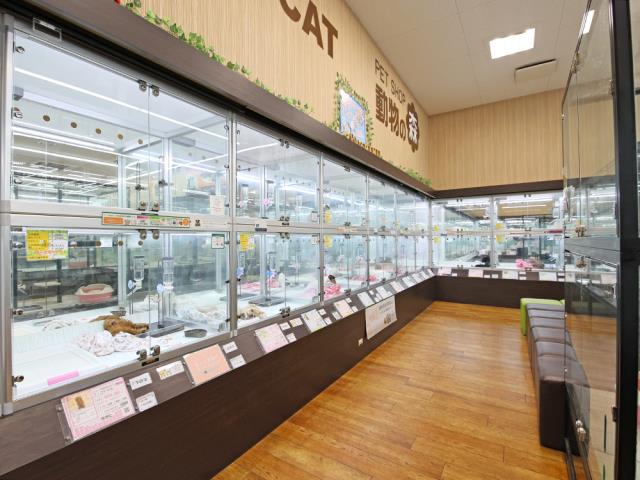 高松上福岡店のご案内 高松市上福岡町 ペットショップcoo Riku