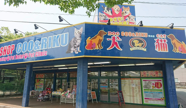 ペットショップcoo Riku 熊本店 ペットショップ 用品店 トリミングサロン 熊本県 Shiori ペットショップcoo Riku 熊本店 ペットショップ 用品店 トリミングサロン 熊本県 Shiori