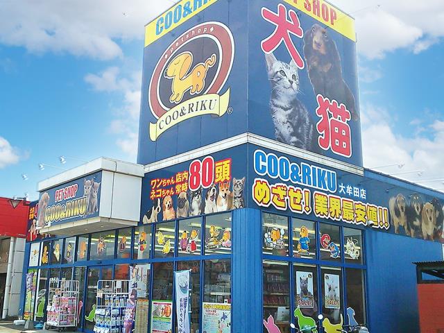 Coo&RIKU大牟田店の店舗写真