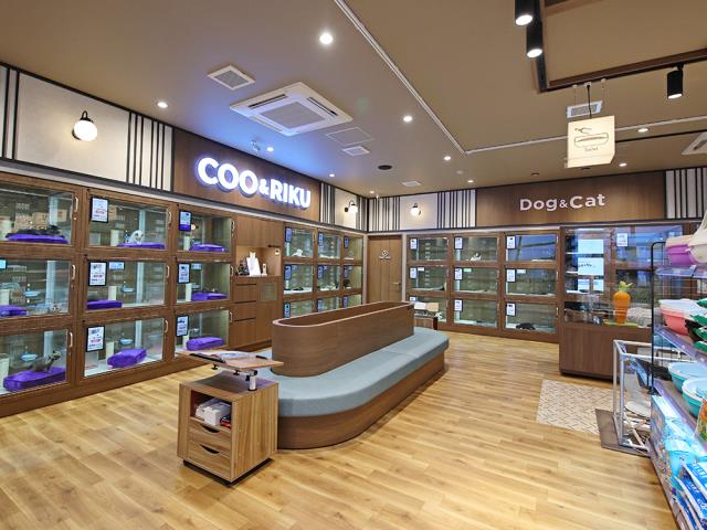 福山店のご案内 福山市明神町 ペットショップcoo Riku
