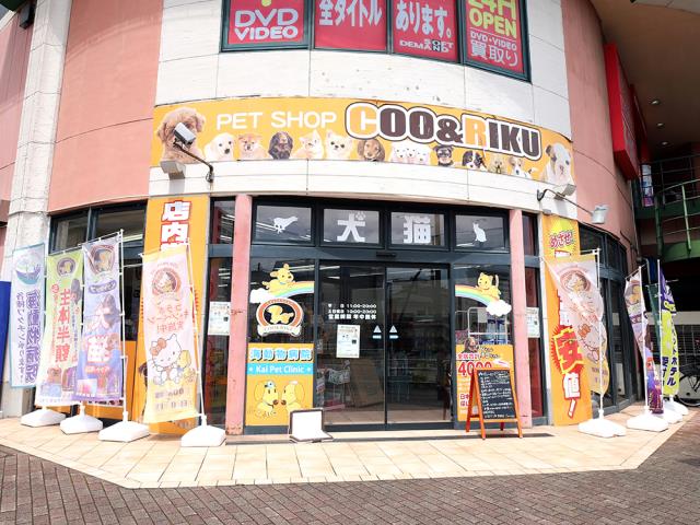 Coo&RIKUパウ川崎店の写真