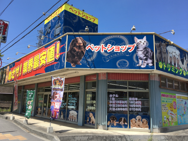 松山 ペット ショップ マーケットピア ペットショップ 四国 アクセスランキング Amp Petmd Com 松山 ペット ショップ マーケットピア ペットショップ 四国 アクセスランキング Amp Petmd Com