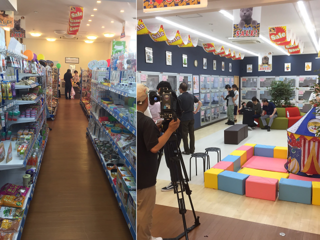 岩手盛岡店のご案内 盛岡市東仙北 ペットショップcoo Riku 岩手盛岡店のご案内 盛岡市東仙北 ペットショップcoo Riku
