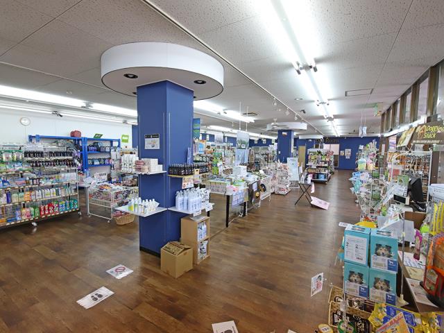 藤枝店のご案内 藤枝市築地 ペットショップcoo Riku 藤枝店のご案内 藤枝市築地 ペットショップcoo Riku