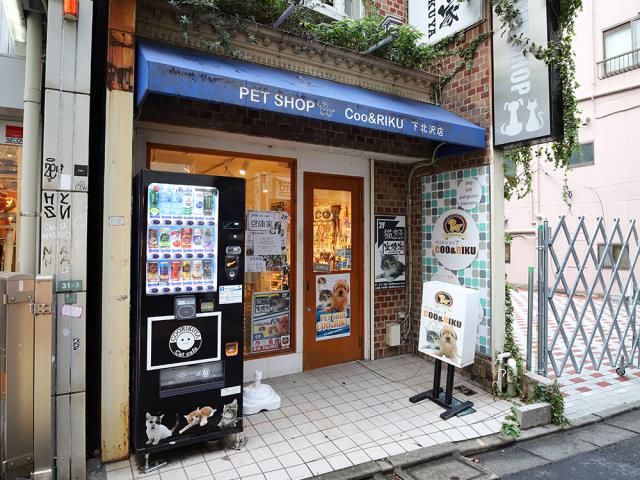 下北沢店のご案内 世田谷区北沢 ペットショップcoo Riku