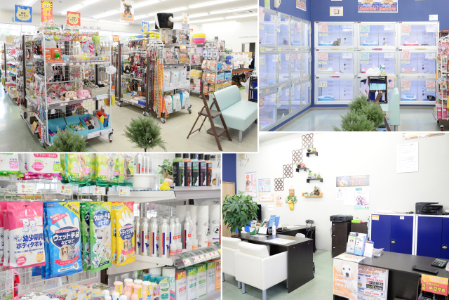 川口市の人気ペットショップ12選 サロンやペットホテル併設の大型店も Shiori 川口市の人気ペットショップ12選 サロンやペットホテル併設の大型店も Shiori