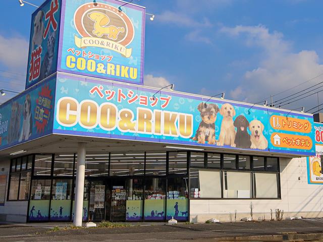 Coo&RIKU若葉都賀店の写真