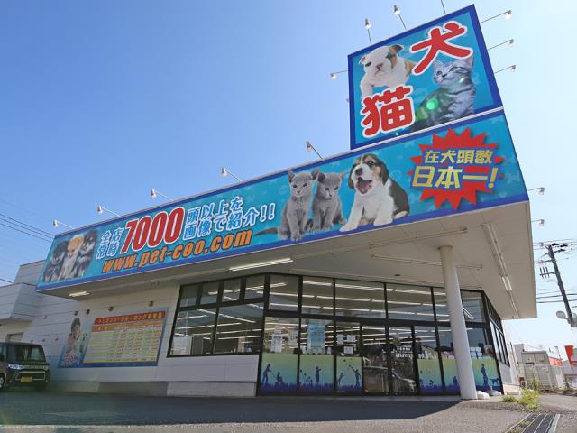 若葉都賀店のご案内 千葉市若葉区都賀 ペットショップcoo Riku