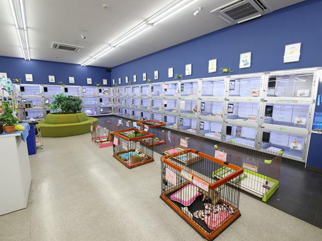 若葉都賀店のご案内 千葉市若葉区都賀 ペットショップcoo Riku