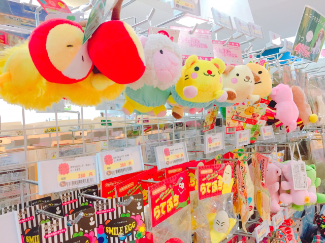 サンパークあじす店のご案内 山口市阿知須 ペットショップcoo Riku サンパークあじす店のご案内 山口市阿知須 ペットショップcoo Riku