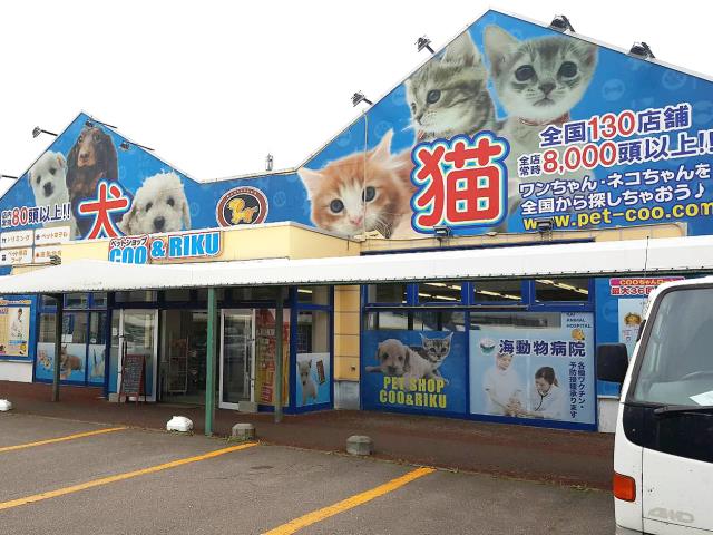 Coo&RIKU苫小牧店の店舗写真