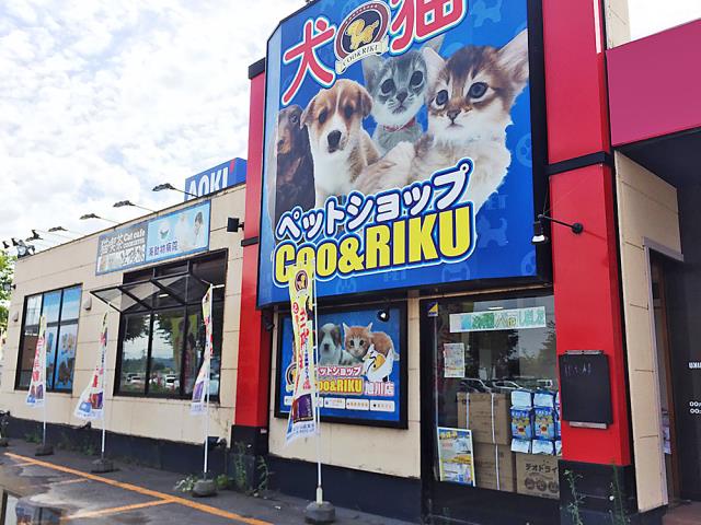 Coo&RIKU旭川店の店舗写真