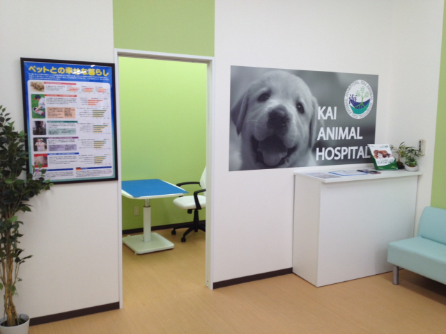堺店のご案内 堺市北区北花田町 ペットショップcoo Riku
