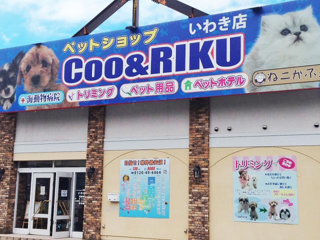 Coo&RIKUいわき店の店舗写真