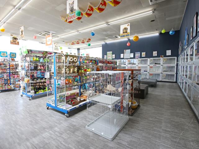 伊丹店のご案内 | 伊丹市昆陽南 | ペットショップCoo&RIKU