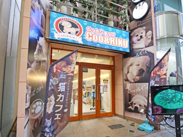 広島本通店のご案内 広島市中区紙屋町 ペットショップcoo Riku