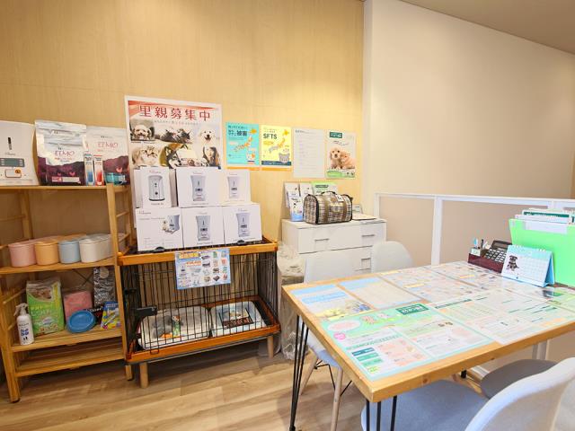 広島本通店のご案内 広島市中区紙屋町 ペットショップcoo Riku