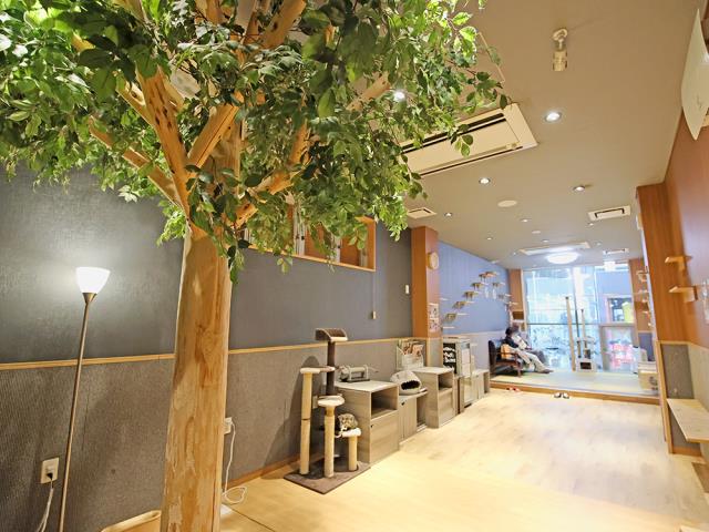 広島本通店のご案内 広島市中区紙屋町 ペットショップcoo Riku