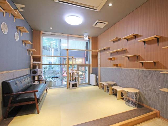 広島本通店のご案内 広島市中区紙屋町 ペットショップcoo Riku