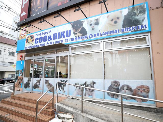 フレスポ住吉店のご案内 江東区住吉 ペットショップcoo Riku