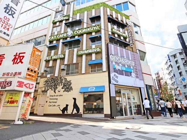 新宿三丁目店のご案内 新宿区新宿 ペットショップcoo Riku