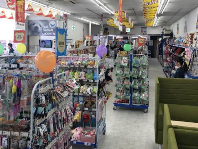 四日市店のご案内 四日市市日永 ペットショップcoo Riku