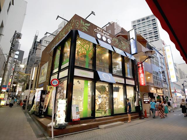 Coo&RIKU赤坂店の店舗写真