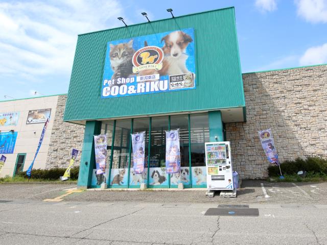 Coo&RIKU新潟東店の写真