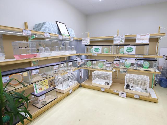 コメリパワー旭店のご案内 旭市川口 ペットショップcoo Riku