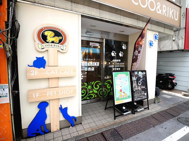 Coo&RIKU日吉店の店舗写真