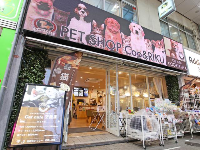 Coo&RIKU高円寺店の店舗写真